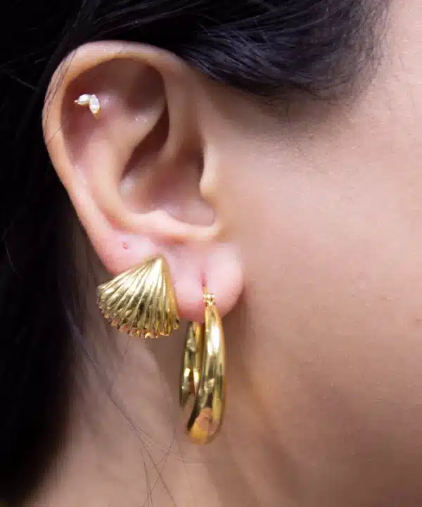 Gold Shell - Image 2